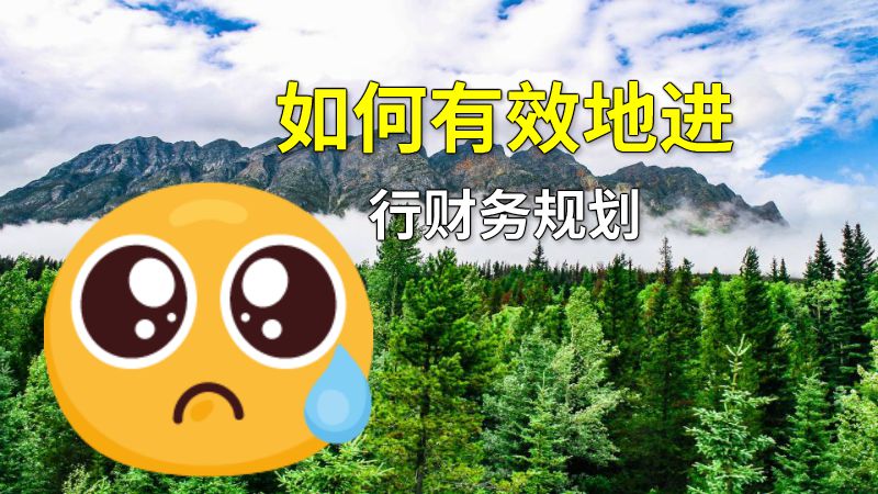 如何有效地进行财务规划 动画制作软件有哪些