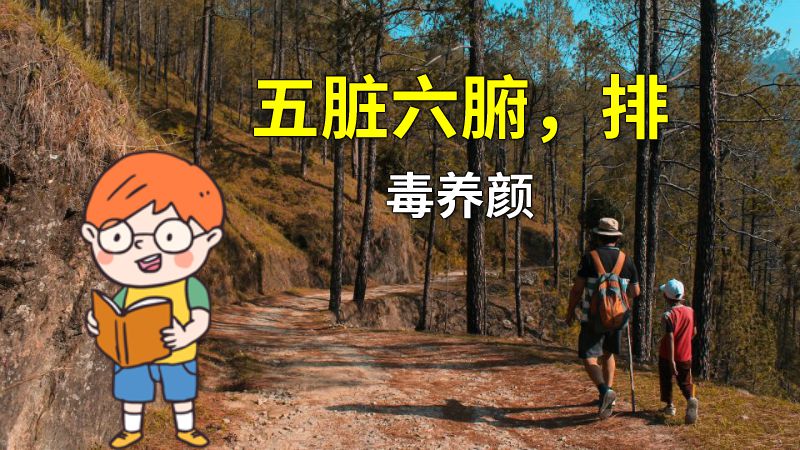 五脏六腑，排毒养颜 动画制作软件有哪些