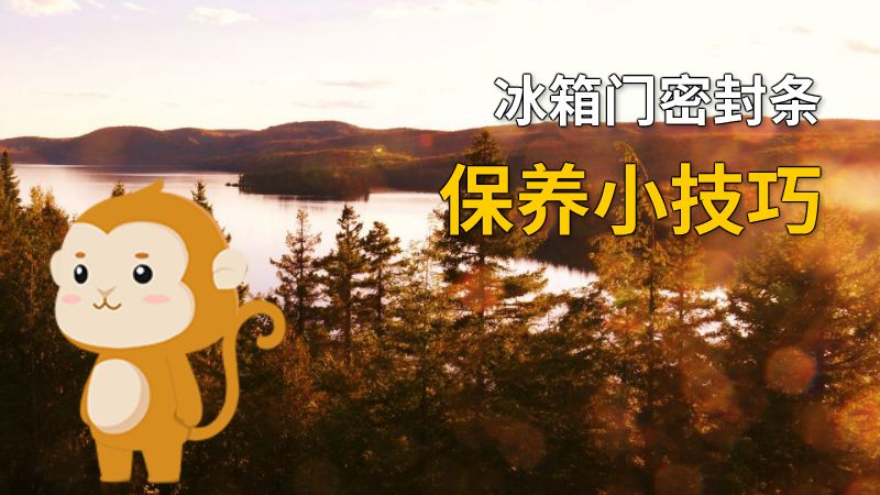 冰箱门密封条保养小技巧 动画制作软件有哪些