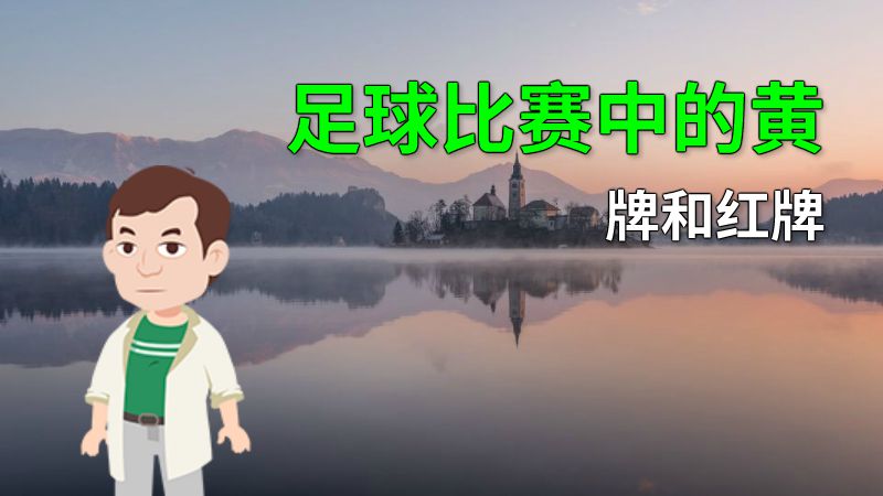 足球比赛中的黄牌和红牌 动画制作软件有哪些