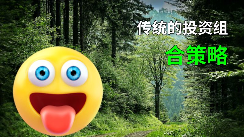传统的投资组合策略 动画制作软件有哪些