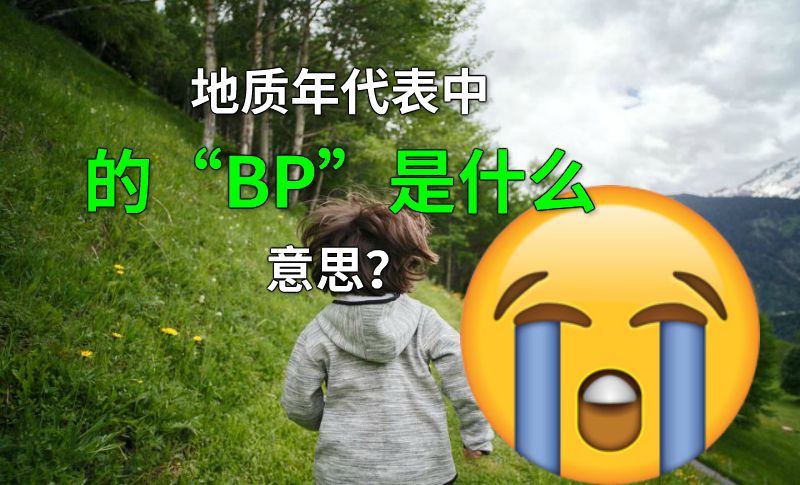 地质年代表中的“BP”是什么意思？ 动画制作软件有哪些