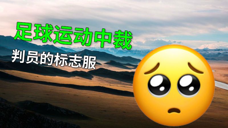 足球运动中裁判员的标志服 动画制作软件有哪些