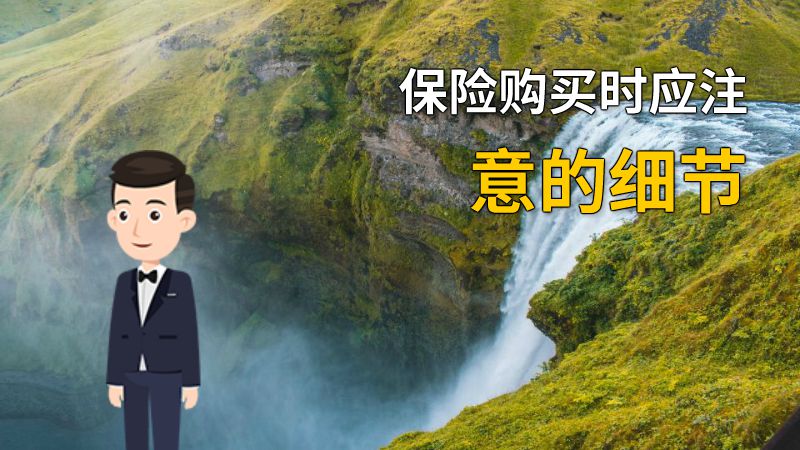 保险购买时应注意的细节 动画制作软件有哪些