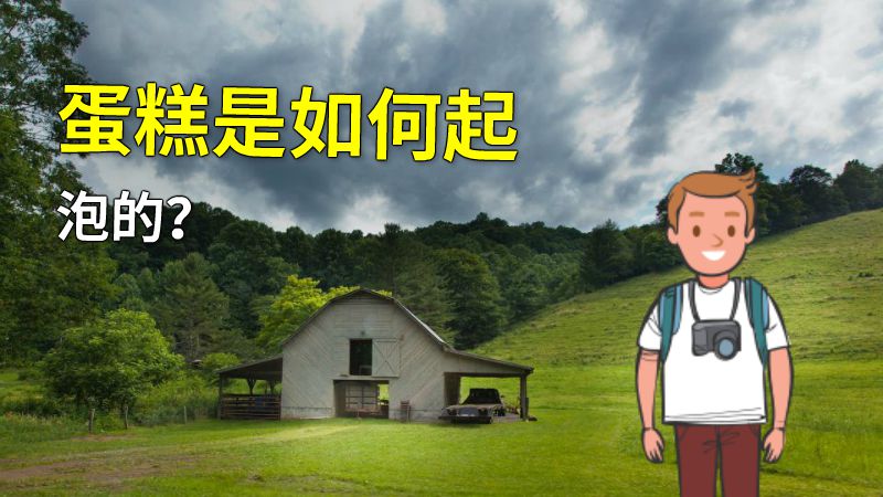 蛋糕是如何起泡的？ 动画制作软件有哪些