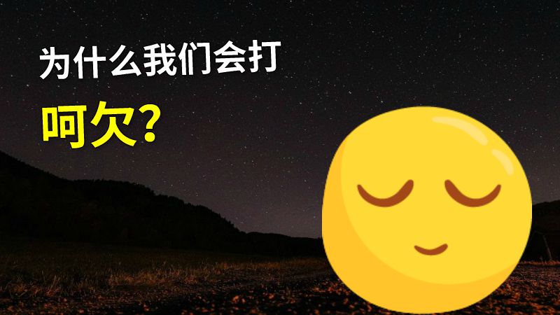 为什么我们会打呵欠？ 动画制作软件有哪些