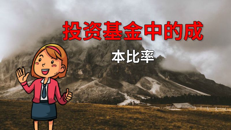 投资基金中的成本比率 动画制作软件有哪些