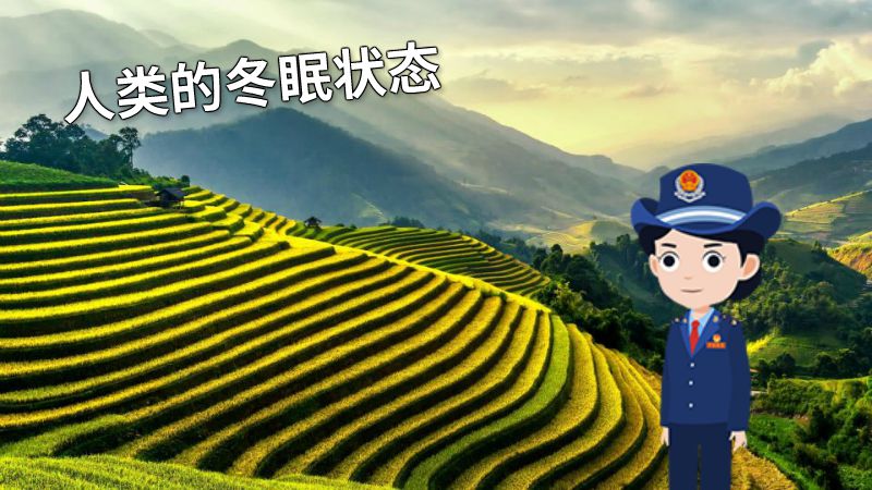 人类的冬眠状态 动画制作软件有哪些