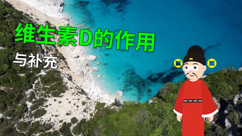 维生素D的作用与补充 动画制作软件有哪些