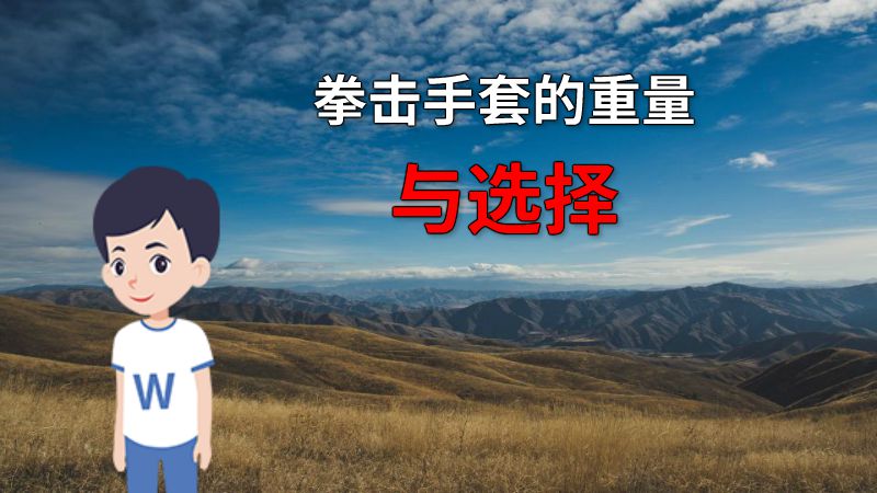 拳击手套的重量与选择 动画制作软件有哪些