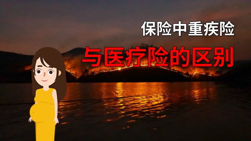 保险中重疾险与医疗险的区别 动画制作软件有哪些