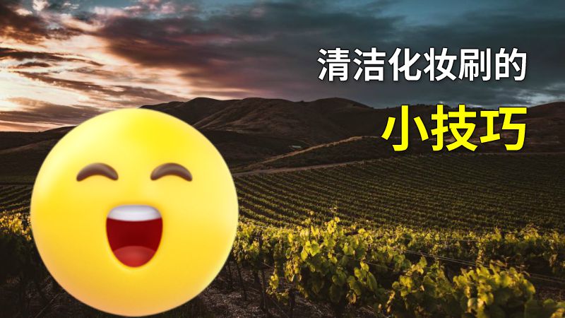清洁化妆刷的小技巧 动画制作软件有哪些