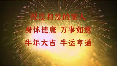 农夫山泉重庆大区恭贺新春 Flash动画制作软件