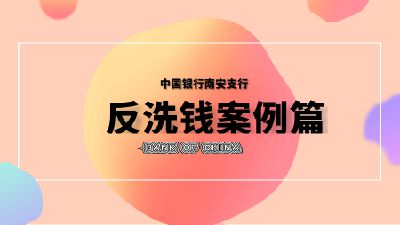 中国银行南安支行关于反洗钱警示案例篇（二） Flash动画制作软件