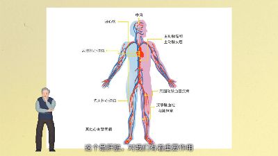 新建工程20250314(1).am Flash動畫制作軟件