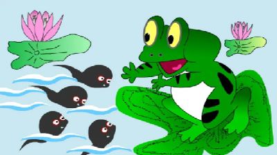 小蝌蚪找妈妈 Flash动画制作软件