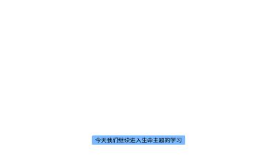 平凡中創造偉大 Flash動畫制作軟件