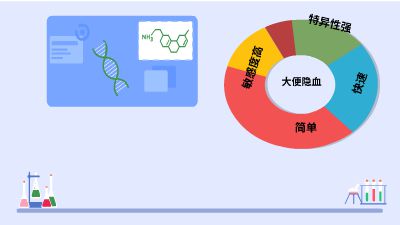 彈跳 Flash動(dòng)畫制作軟件
