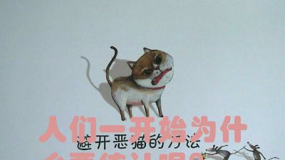 避开猫的方法 Flash动画制作软件