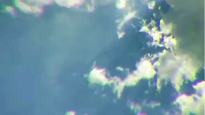 动力工程学校 互联网营销专业 20秋学生风采 Flash动画制作软件