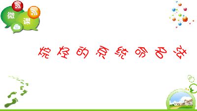 烷烃的系统命名法 Flash动画制作软件