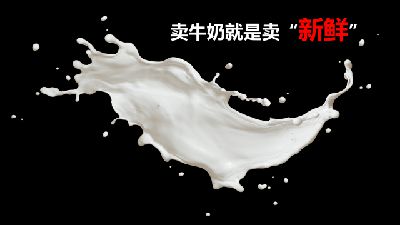 汪云飞：卖牛奶就是卖新鲜 Flash动画制作软件
